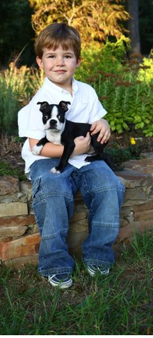 son holding Boston Terrier puppy